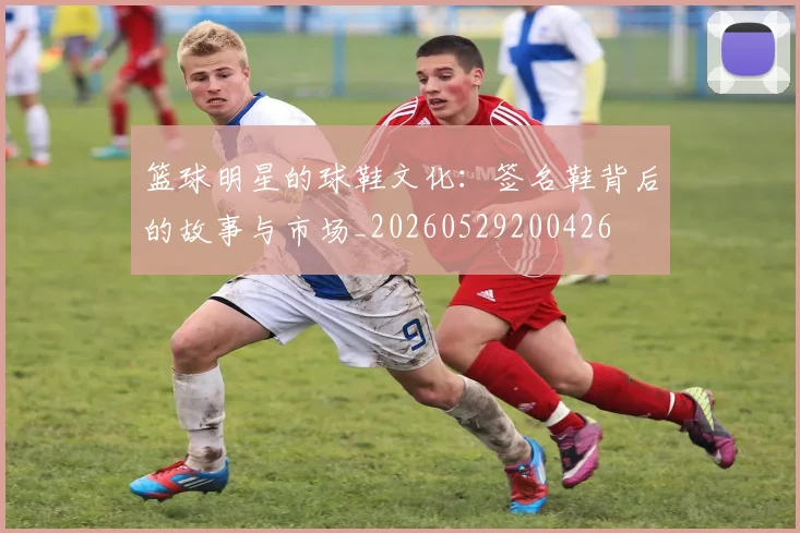 篮球明星的球鞋文化：签名鞋背后的故事与市场_20260529200426